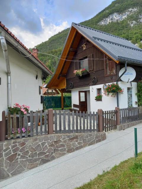 Apartmaji Bohinj Bagian luar foto