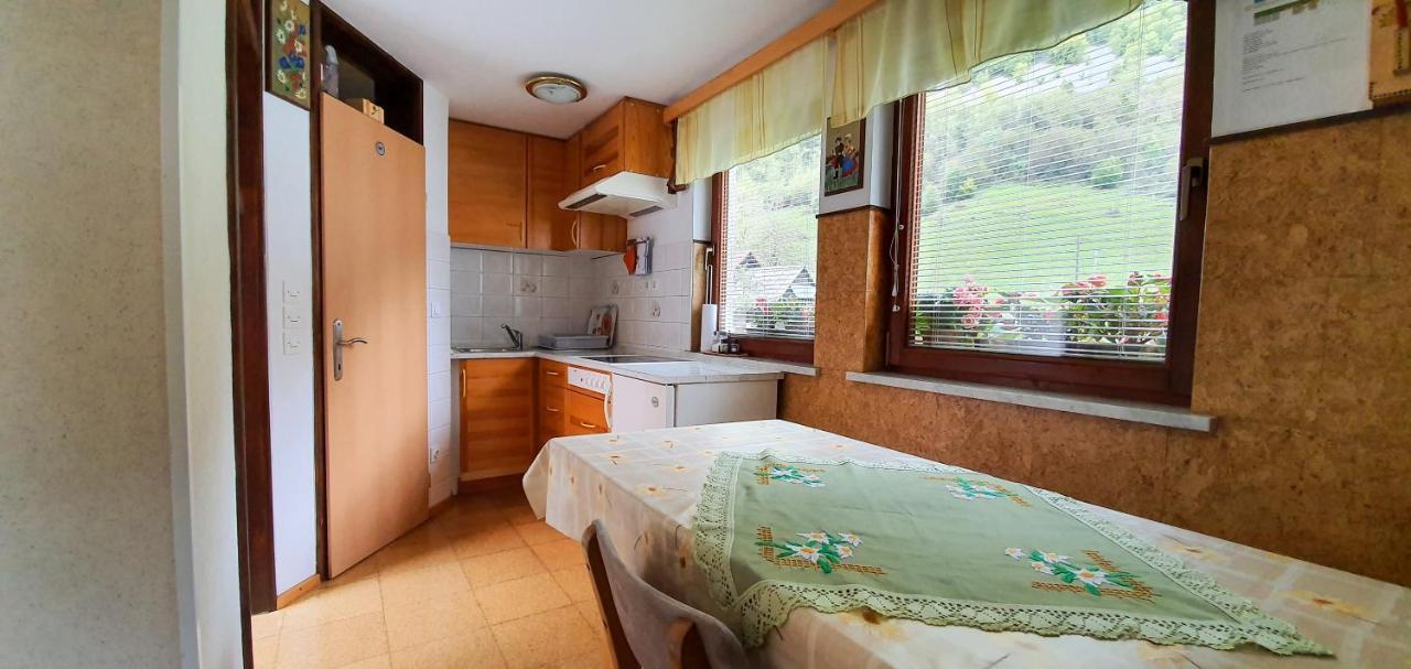 Apartmaji Bohinj Bagian luar foto
